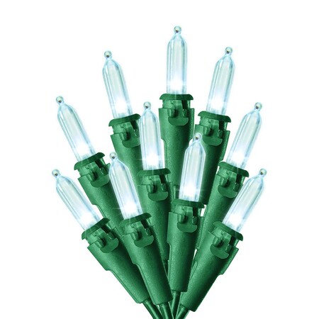 Celebrations LED LGHT MINI CW 100CT 40839-71